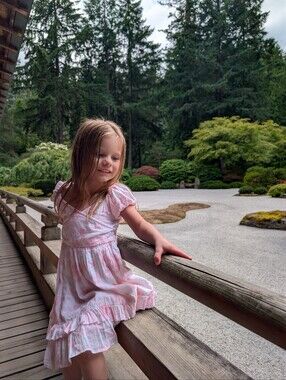 Ivy City Co Antoinette Dress 2T